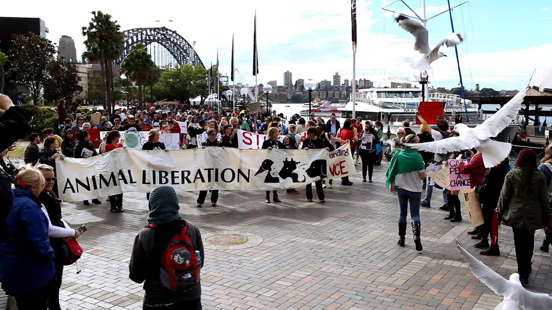 Marche pour la fermeture des abattoirs à Sydney